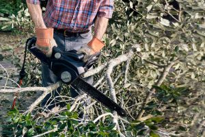 Full Service Commercial & Residential Property Maintenance | PME, Florida