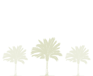 Florida Family Owned and Operated | PME Property Maintenance